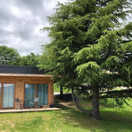 Studio-Mazot de charme 26 m2 Parc Chartreuse Vimines Extérieur photo